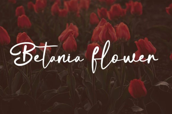 Antellove Font - Preview 5