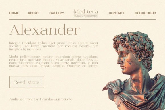 Audience Font - Preview 2