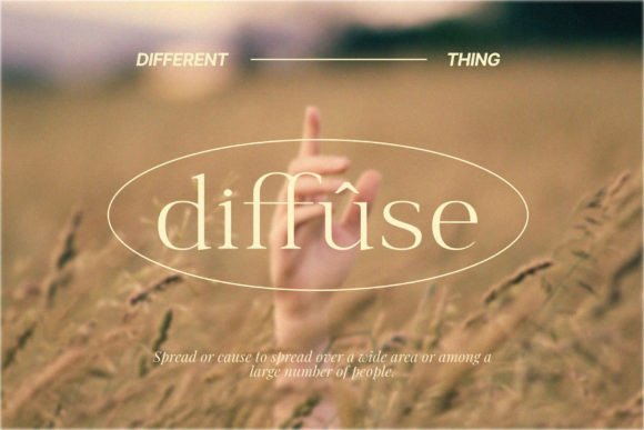 Audience Font - Preview 4