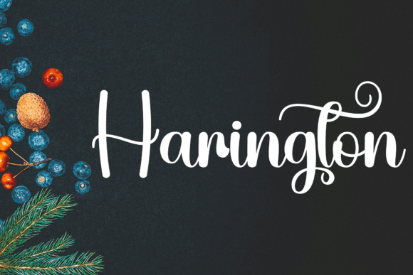 Batnight Font - Preview 4