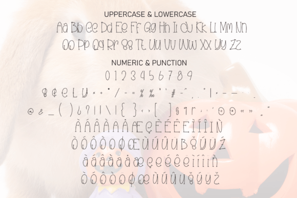 Bunny Pumpkin Font PNG with transparent background - Preview 6