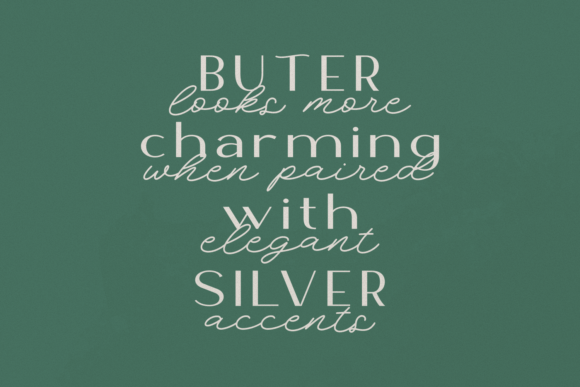 Buter Silver Font - Preview 4