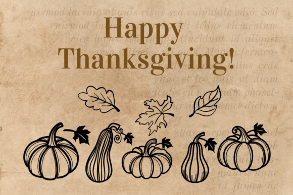 Pumpkin Thanksgiving Font PNG with transparent background - Preview 4