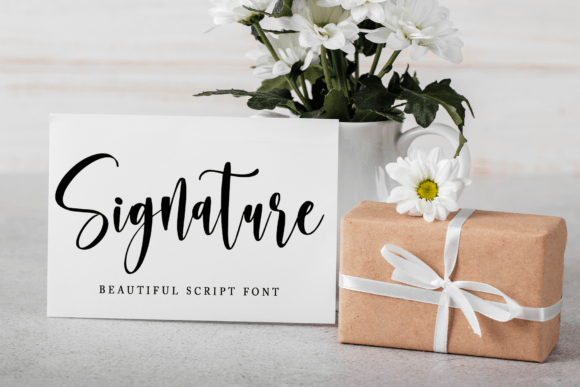 Scholar Font PNG with transparent background - Preview 3