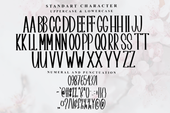 Antumn Blackboard Font - Preview 4
