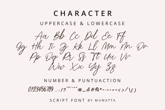 Florine Signature Font - Preview 4