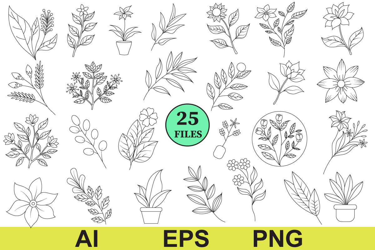 Flower and Boho House Plants Lineart