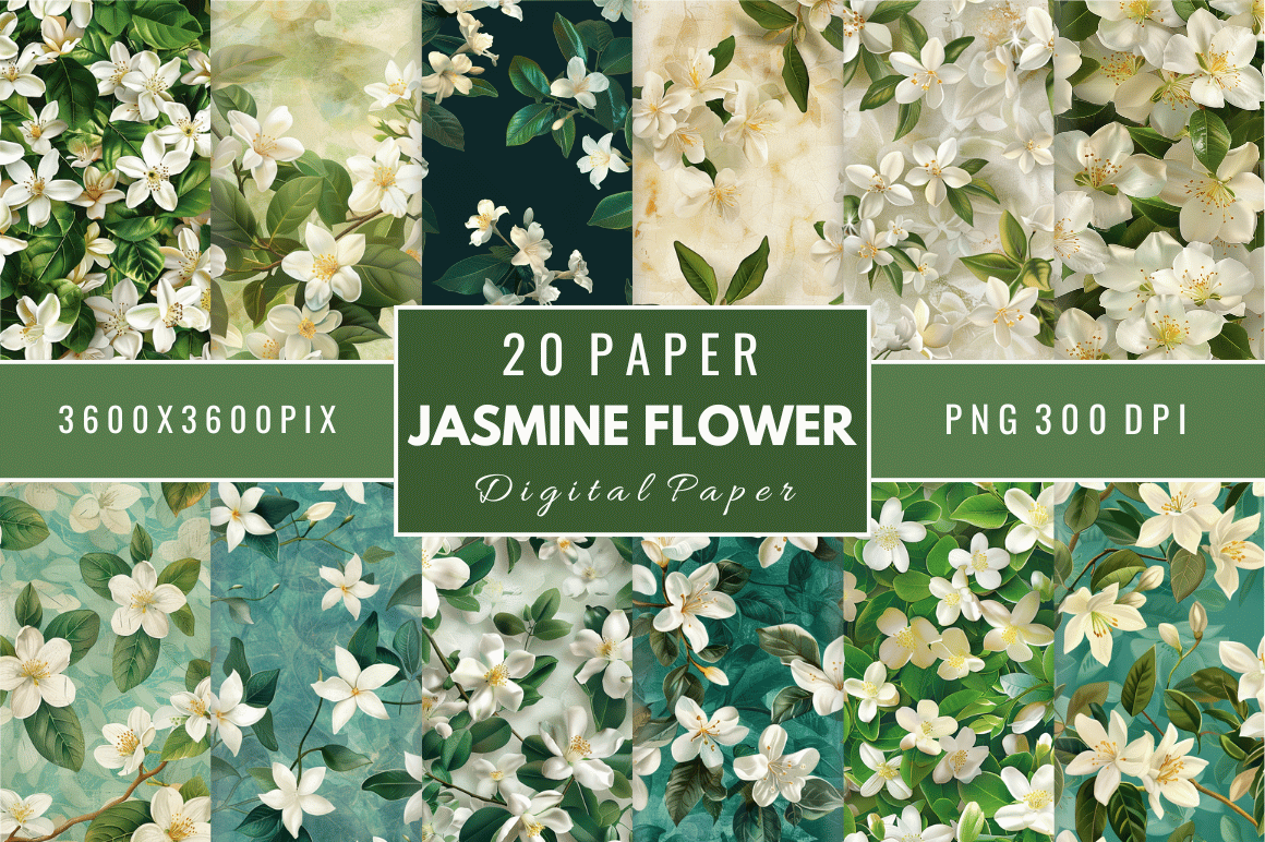 Jasmine Flower Digital Paper Bundle Graphic by Regulrcrative · Creative ...
