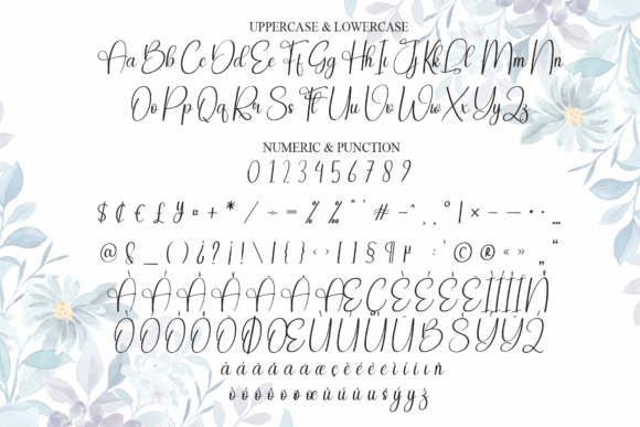 Ameliya Font - Preview 6