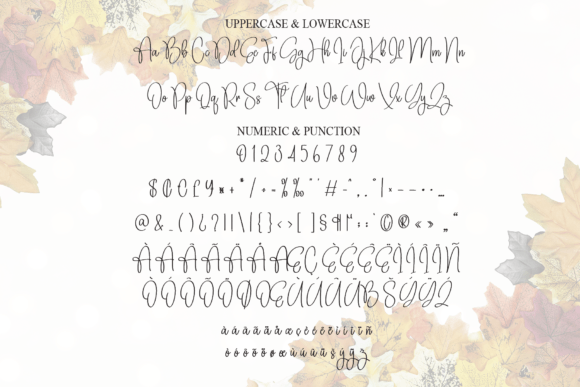 Autumn Signature Font - Preview 6