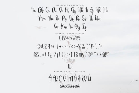Chandler Font - Preview 5