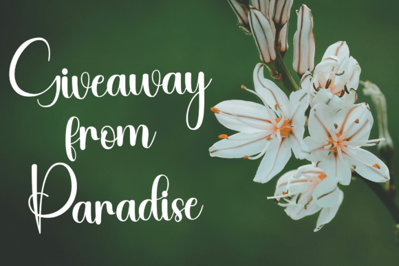 Natural Paradise Font PNG with transparent background - Preview 5
