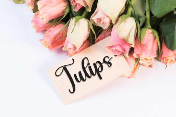 Beloved Font - Preview 4