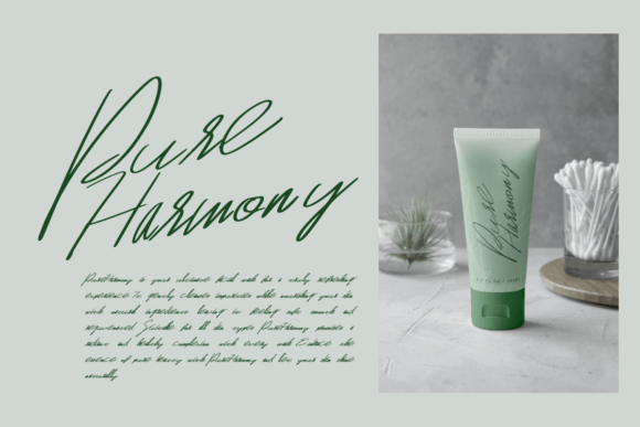 Delicate Font - Preview 3