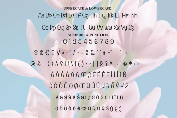 Hey Magnolia Font PNG with transparent background - Preview 6