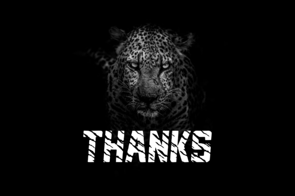 Macan Loreng Font PNG with transparent background - Preview 4