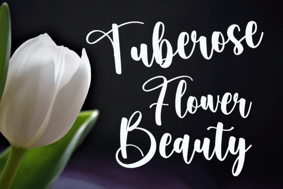 Autumn Font - Preview 4