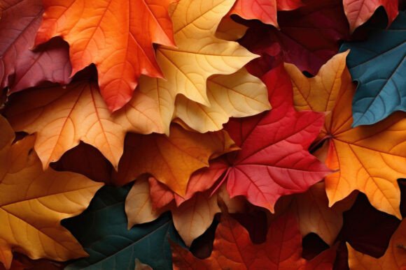 Autumn Background
