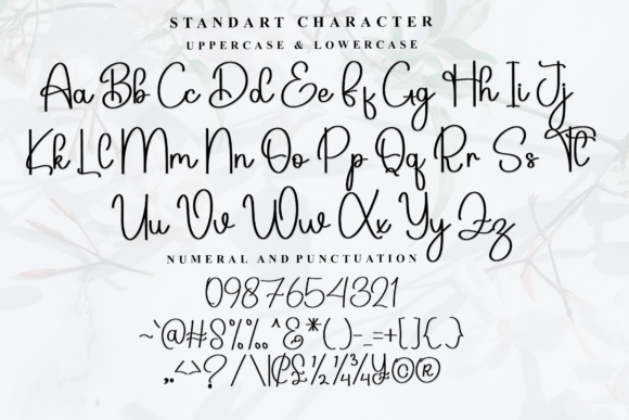 Bridgen Font - Preview 4
