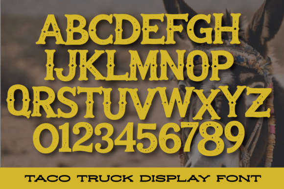 Funky Burro Font - Preview 1