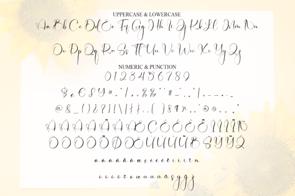 Lettering Sunflower Font PNG with transparent background - Preview 6