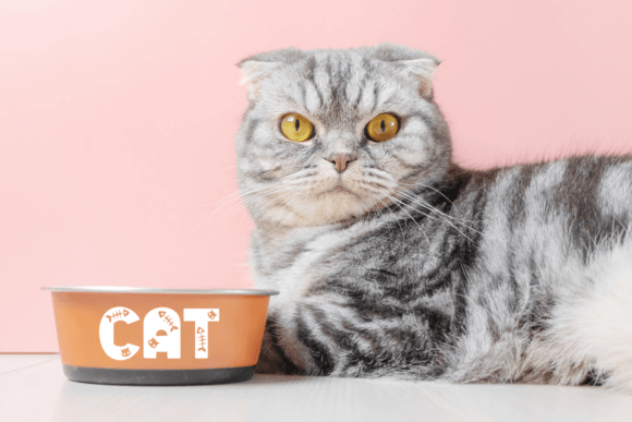 Cat Fish Font - Preview 1