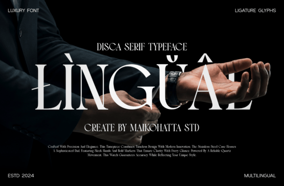 Disca Font PNG with transparent background - Preview 3