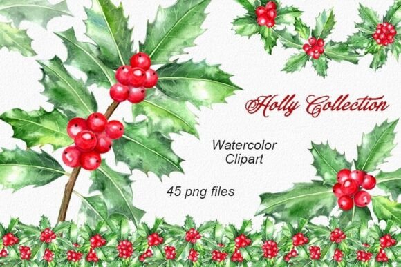 Holly Collection.Watercolor Clipart Set.