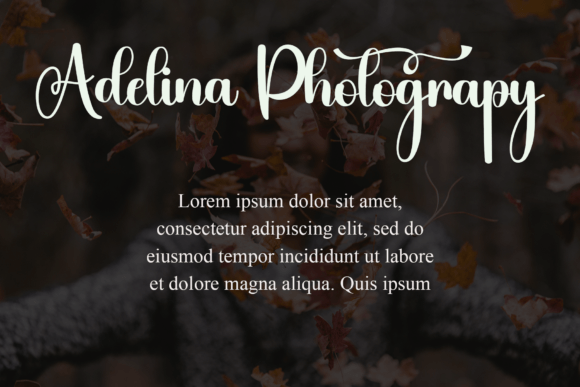 Autumn Font - Preview 6