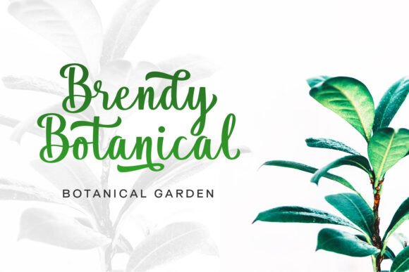 Hilyada Font PNG with transparent background - Preview 2