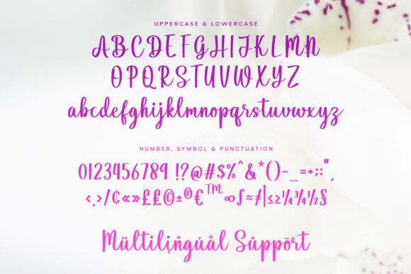 Hilyada Font PNG with transparent background - Preview 4