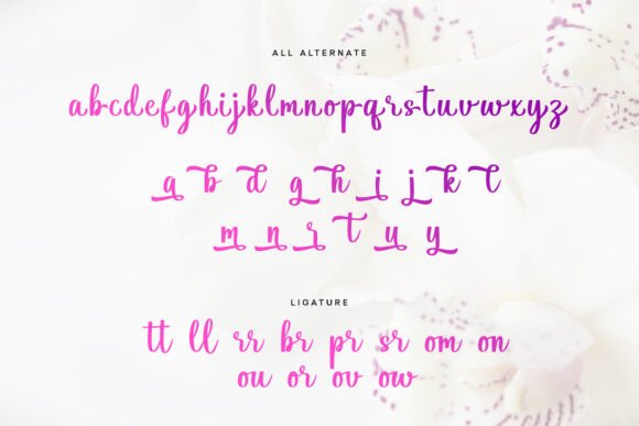 Hilyada Font PNG with transparent background - Preview 5