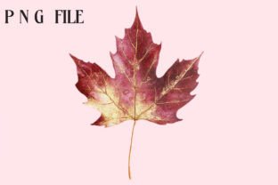 Autumn Leaves Clipart Graphic by Creative Design House · Creative Fabrica