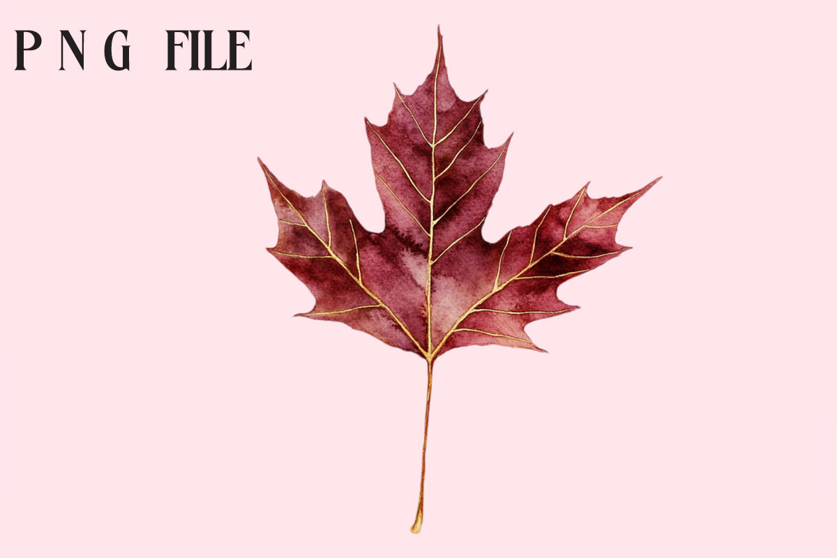 Autumn Leaves Clipart Graphic by Creative Design House · Creative Fabrica