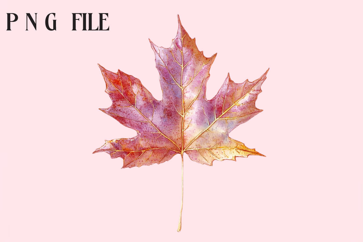 Autumn Leaves Clipart Graphic by Creative Design House · Creative Fabrica