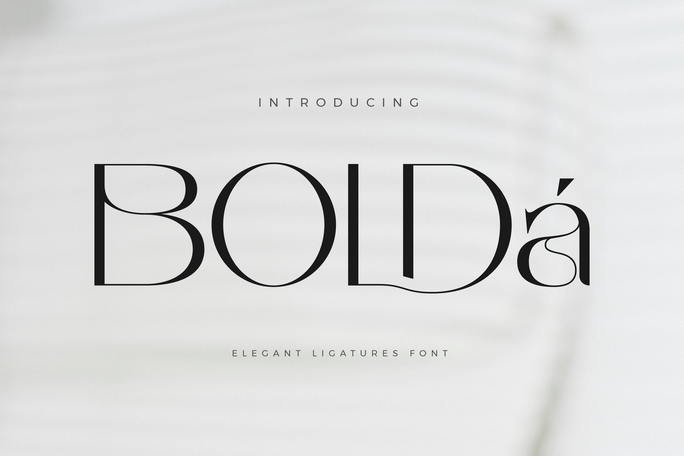 Bolda preview, elegant sans serif