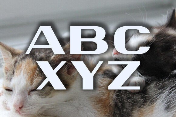 Catz Font - Preview 1