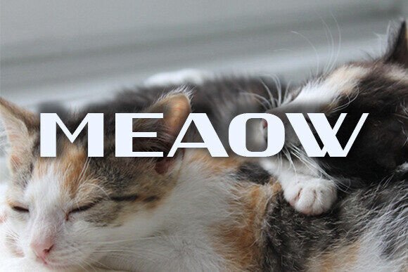 Catz Font - Preview 2