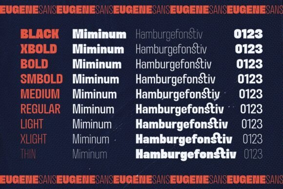 Eugene Sans Font - Preview 2