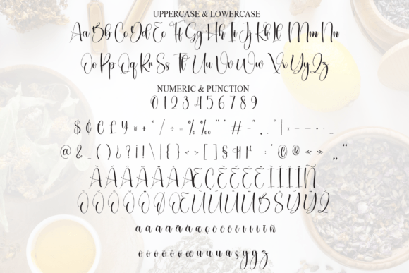 Apothecary Font - Preview 6