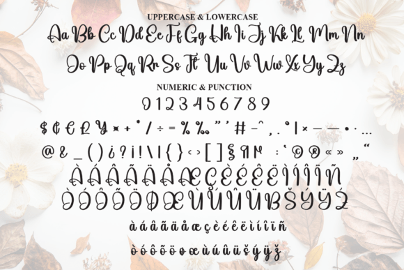 Autumn Font - Preview 6