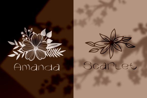 Graphora Font - Preview 2
