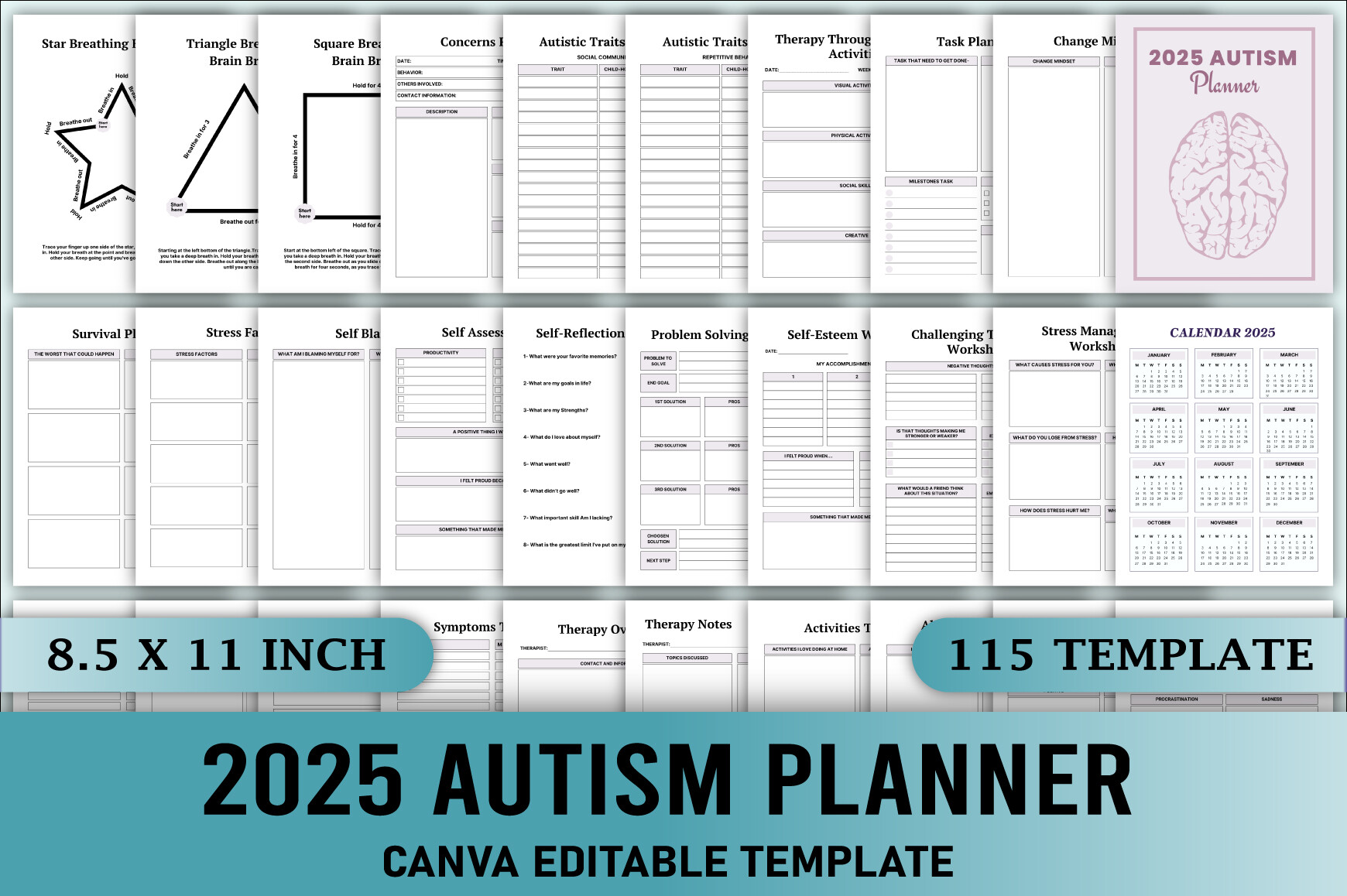 Editable 2025 Autism Planner Canva