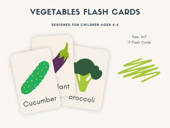 Veggie Discovery Flashcards Set of 17 for Kids
