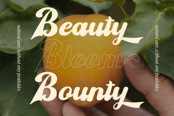 Sekitany Font PNG with transparent background - Preview 4