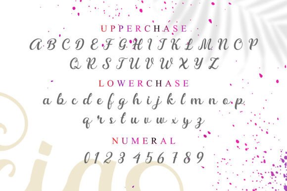 Alicia Font - Preview 1