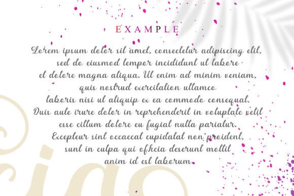 Alicia Font - Preview 2