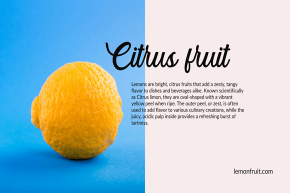 Arnold Script Font - Preview 2