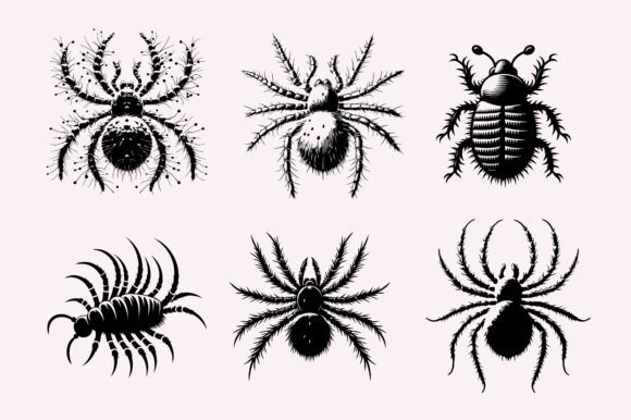 Creative Insect Icon Line Art Vector Art Graphic by Samesh Chakma ...
