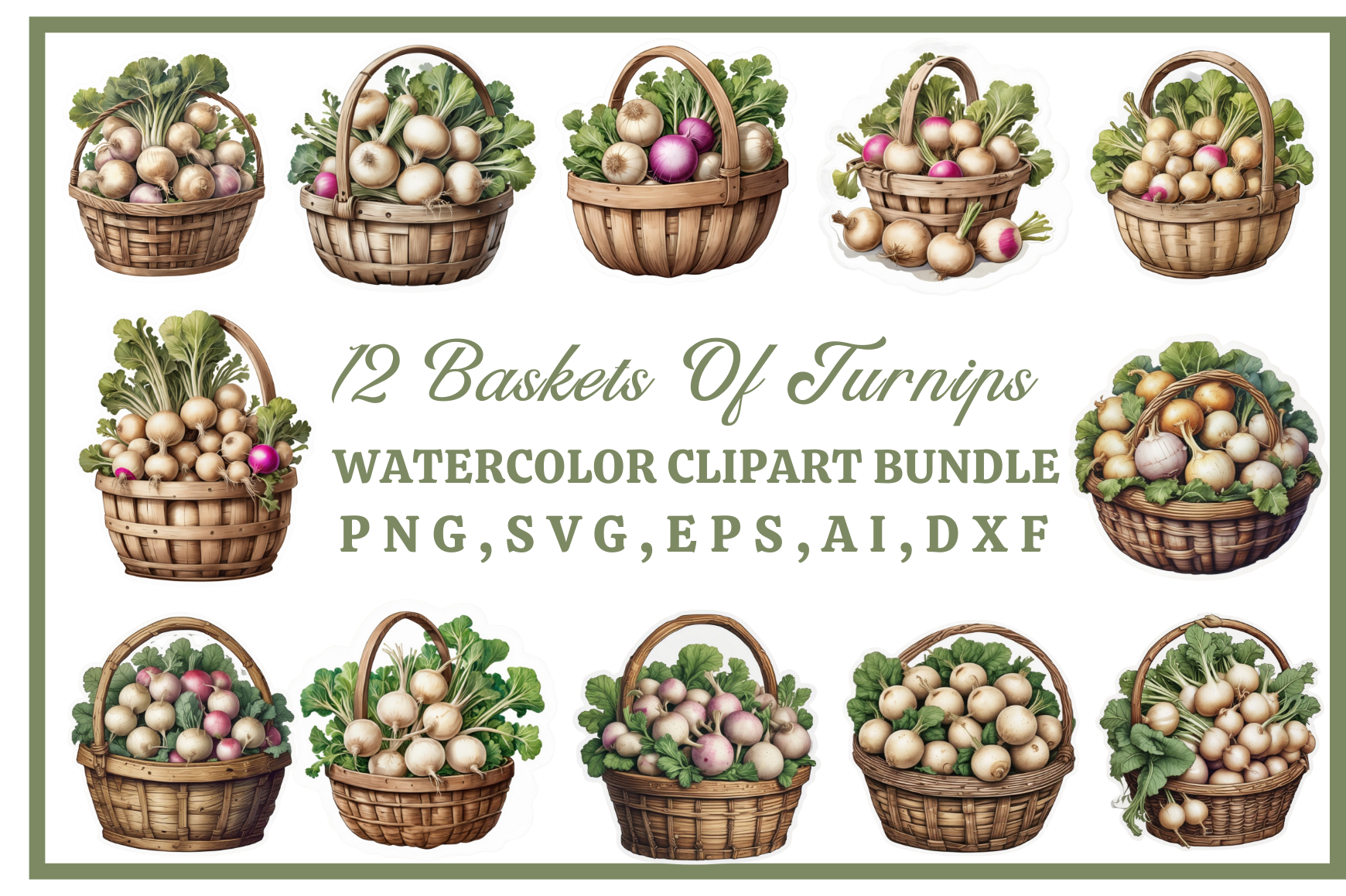 Turnips Watercolor Clipart Bundle #08 Graphic by Jugo's Universe ...